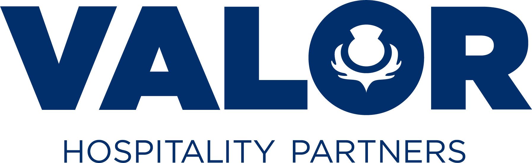 Valor-BLUE-Logotype.png