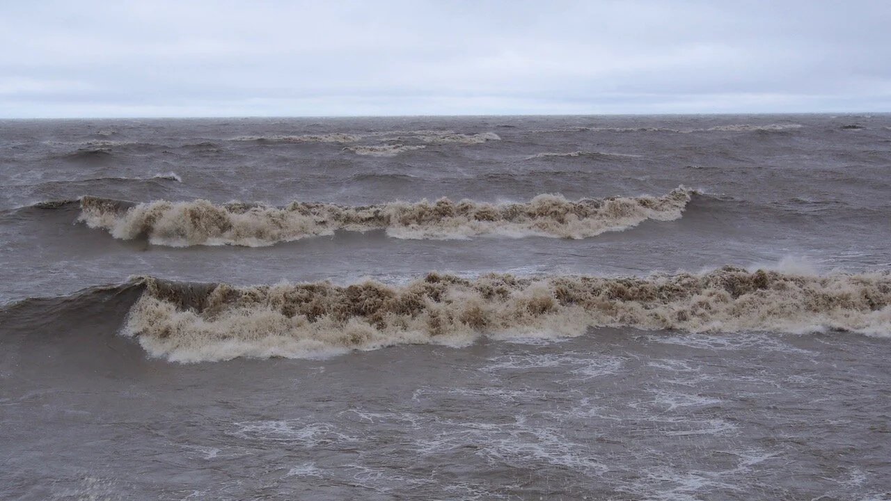 Photo by Tracey Lind