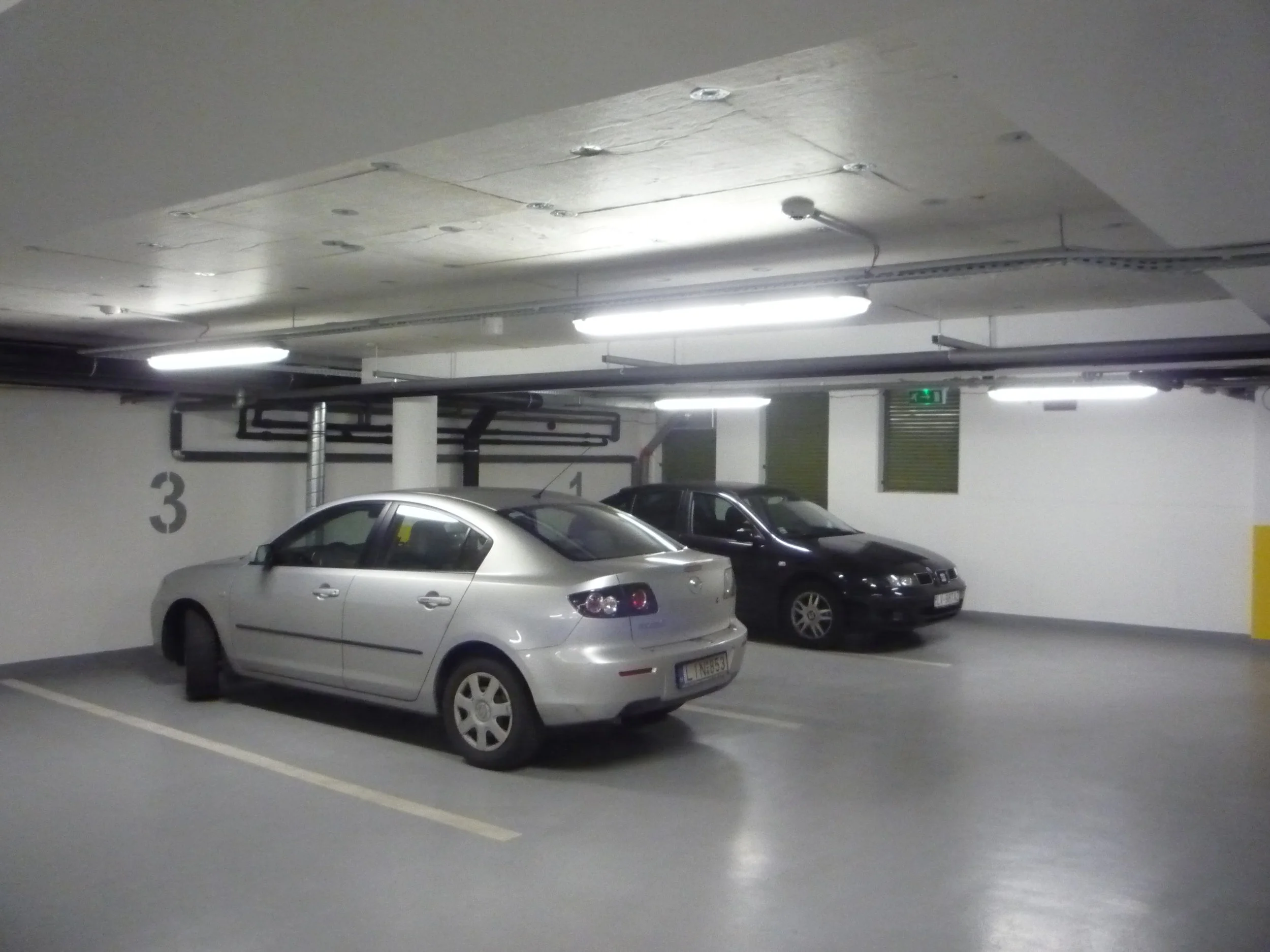 P1210245.JPG