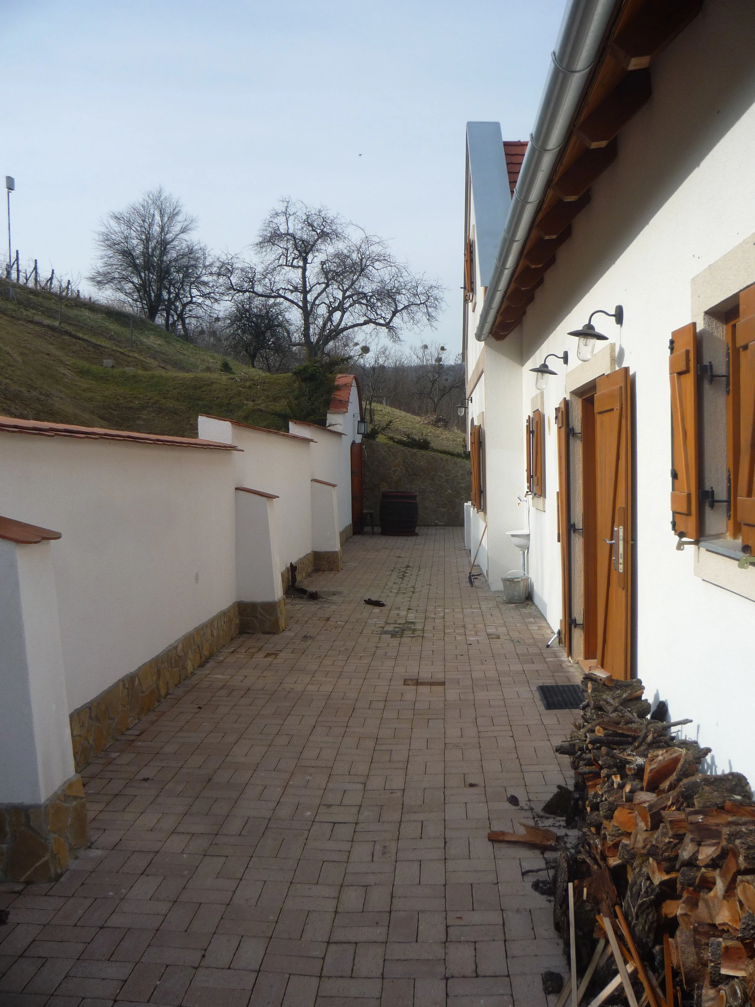 P1240646.JPG