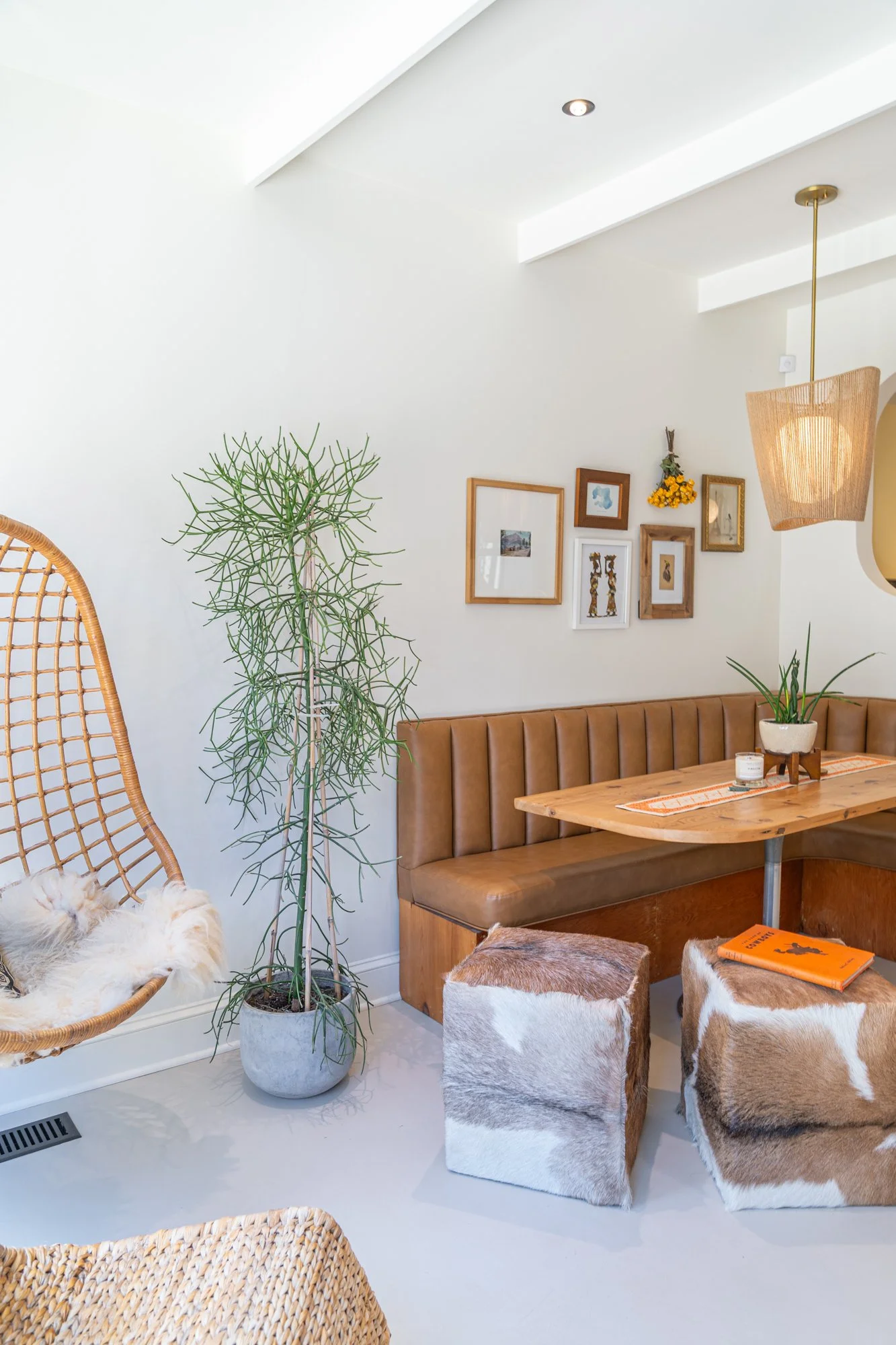A cozy indoor space featuring a hanging chair with a sleeping cat, tall green plant, framed artwork on the white wall, a wooden booth, two cowhide ottomans, and contemporary lighting.