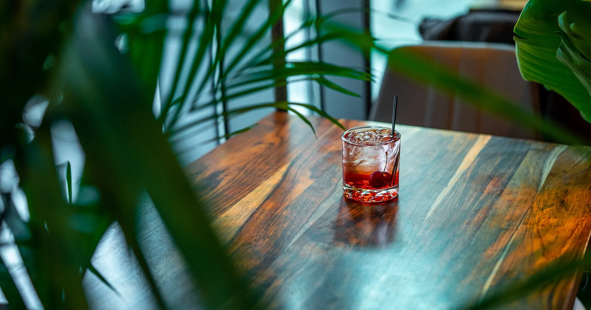 A glass of red cocktail with ice and a cherry, on a wooden table, surrounded by green houseplants.