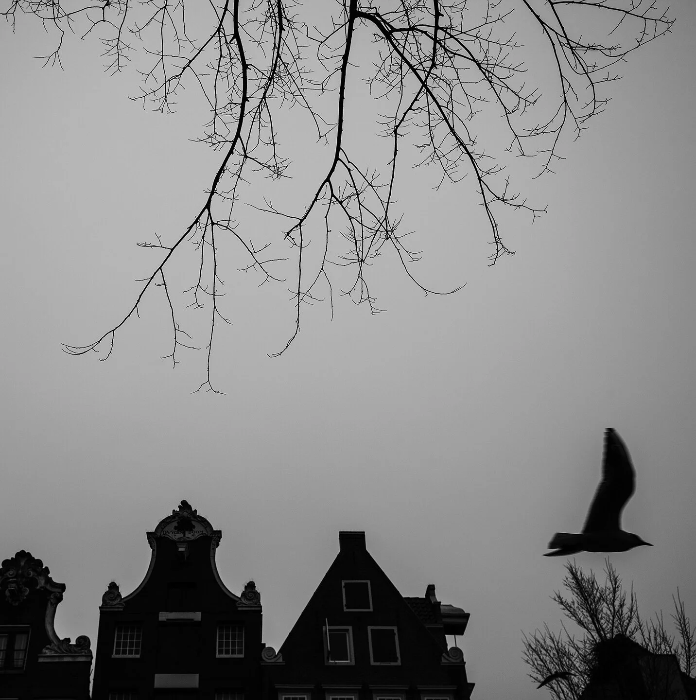 IMG_4511 2.jpg