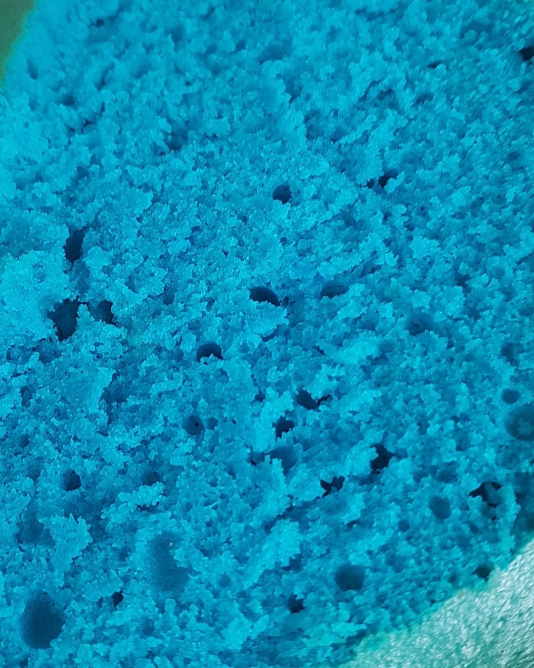 Neon Blue Sponge