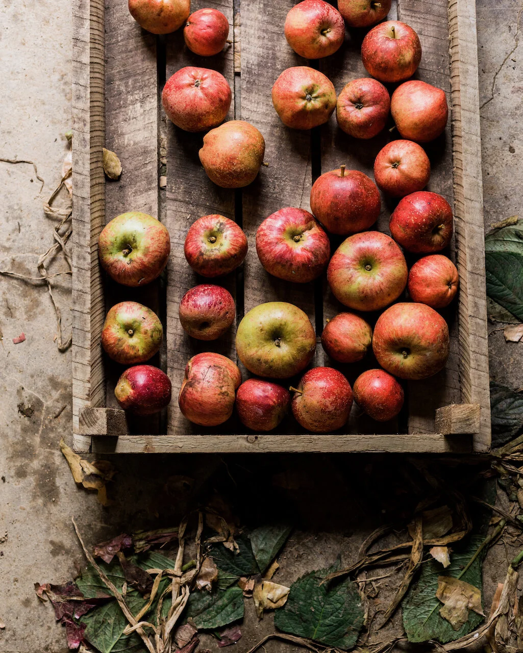 The Art of Storage: A story of sustainable eating