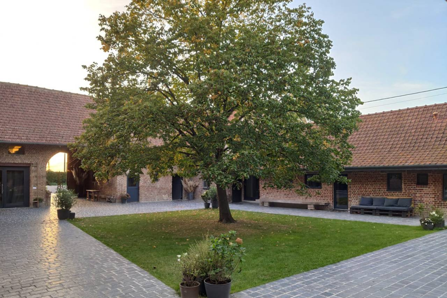Cour pavée et grand arbre de la Ferme d’Hercule à Haverskerque, lieu de réception champêtre