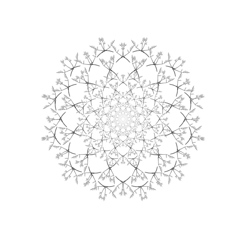 Black Wattle Archival Pigment, 36.5 x 36.5 inches