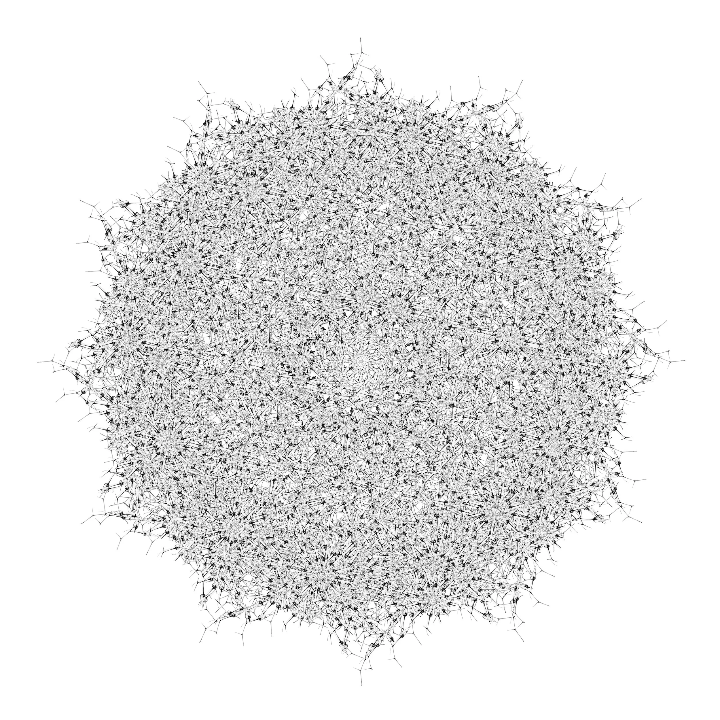 Epiphyte Archival Pigment, 36.5 x 36.5 inches