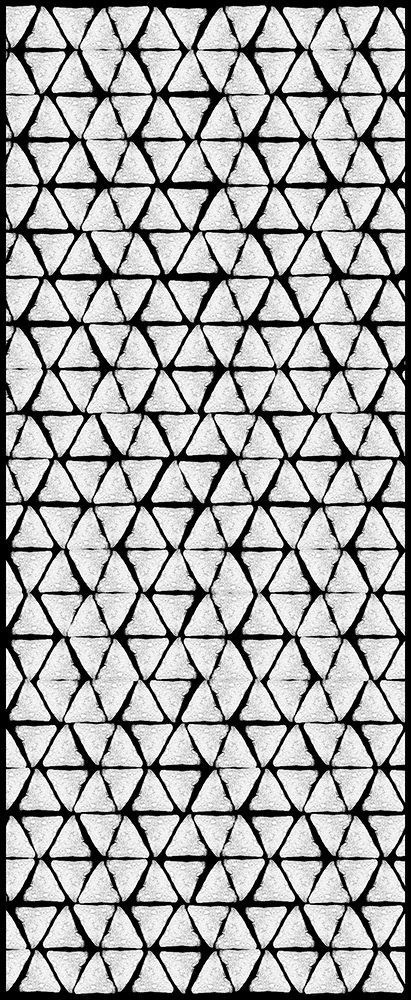 Snack I (Nacho Flavored Doritos) Archival Pigment, 66 x 27 inches Digital collage made from x-rays captured at Carestream Molecular Imaging (USA)