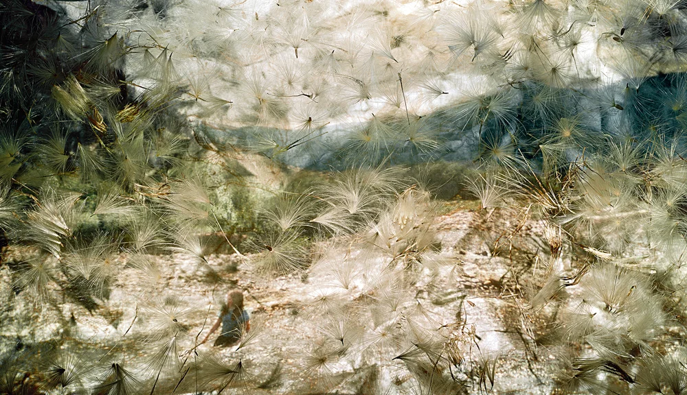 Thistles