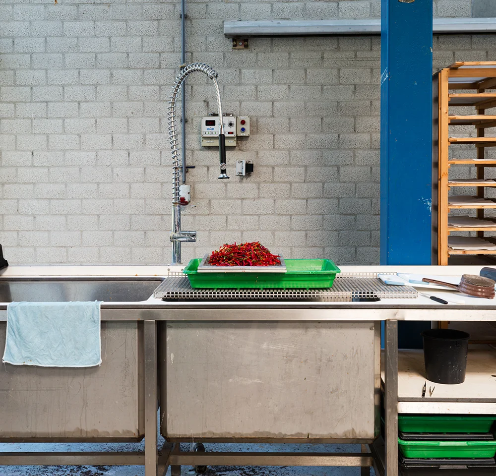 Peppers, Centre for Plant Genetic Resources Wageningen, the Netherlands