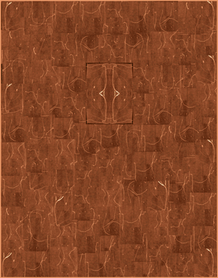 Alfalfa Digital Chromogenic Lenticular Photograph (simulation of color changes visible when viewing the work), 60 x 47 inches