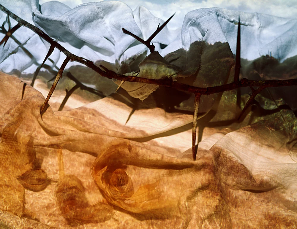 Borderlands 44 x 55 inches