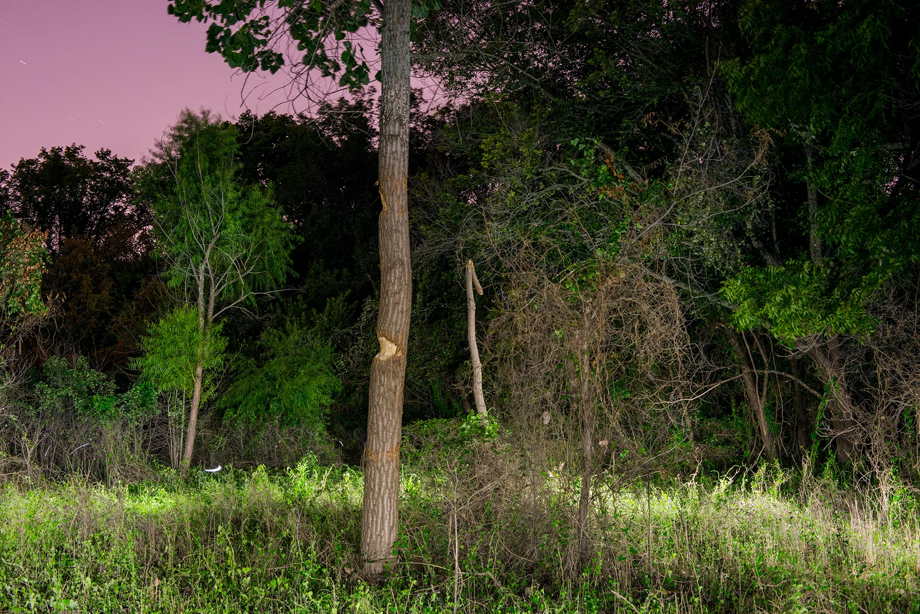 Timeline, 2018 Archival Pigment Print, 40 x 60 inches
