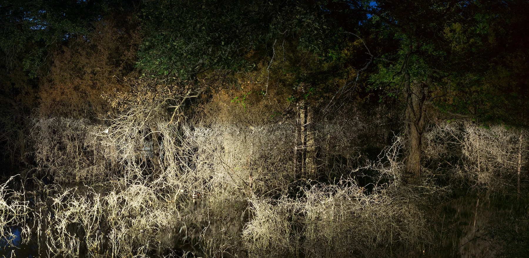 High Water, 2018 35 x 72 inches