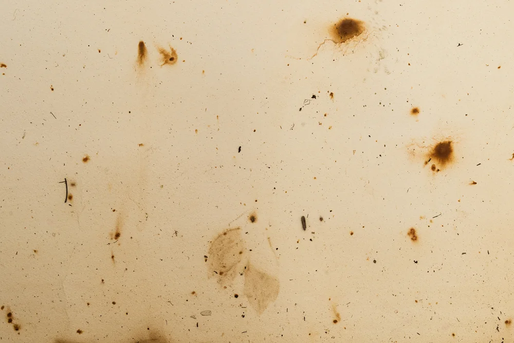 Detail, Hydrograph #7