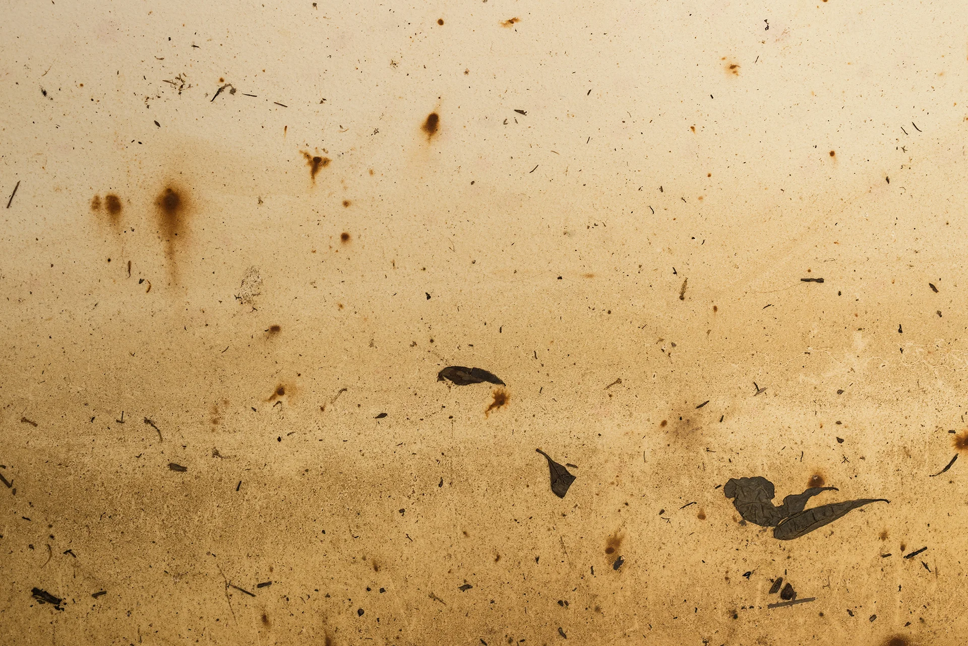 Detail , Hydrograph #7