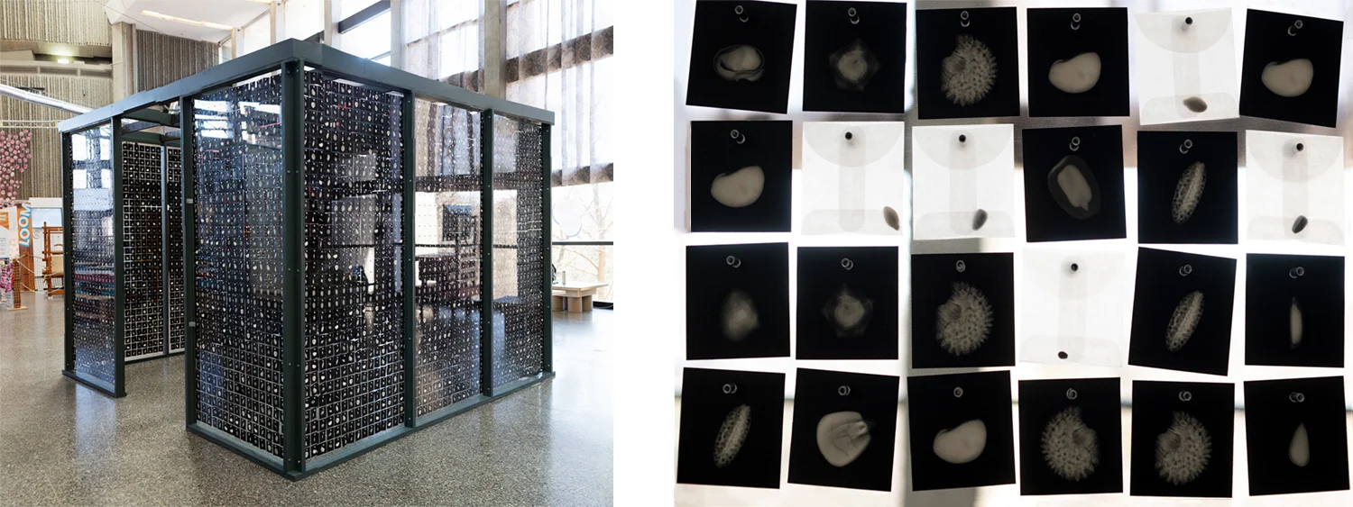 Home page slideshow test2.jpg