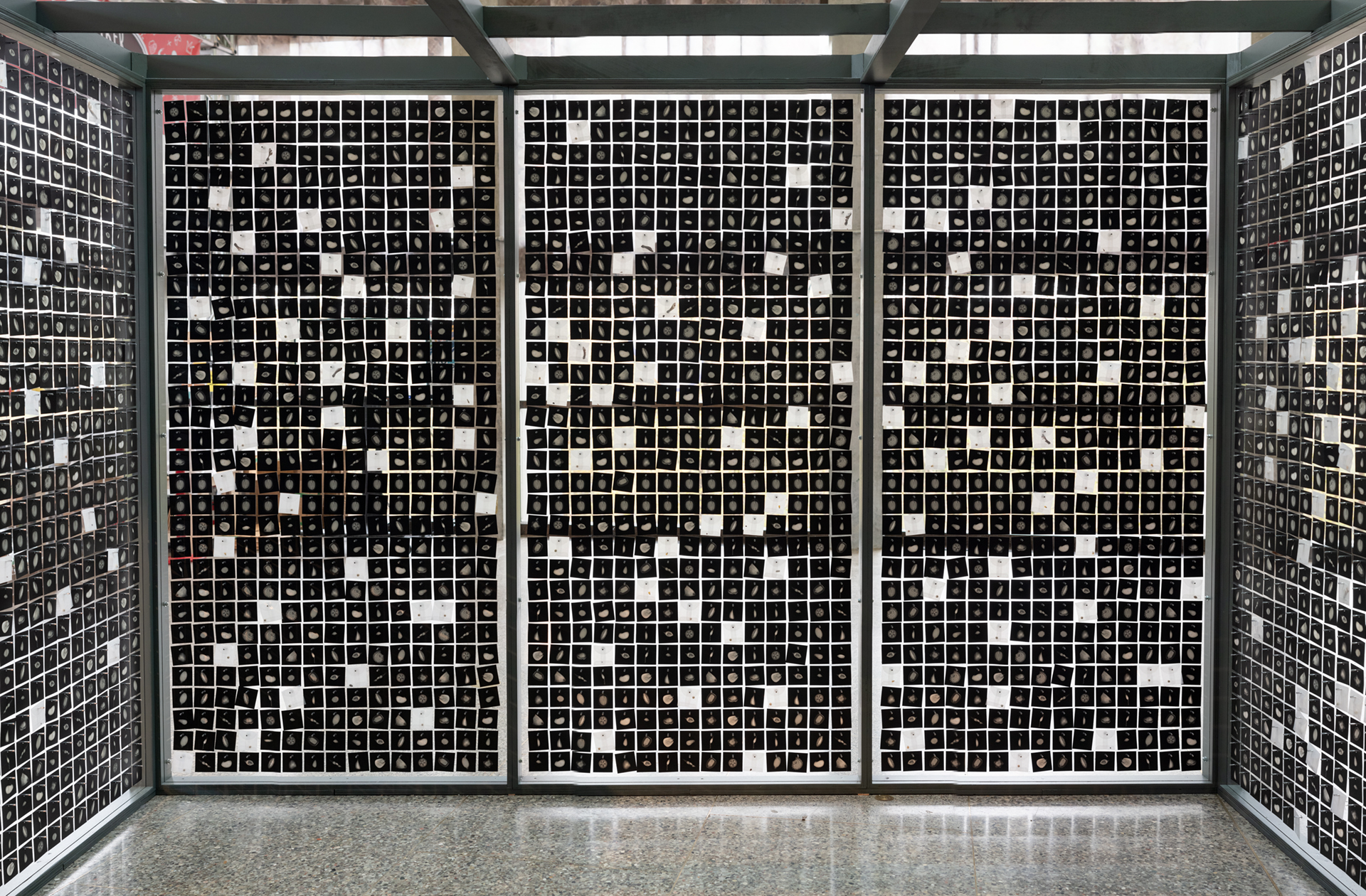 Vault: Exchange interior back wall, May 2019 Interior back wall after the first exchange event in May 2019. Community participants were asked to choose a wild or agricultural seed to place in the vault, and were given the photographic print they removed from the vault’s wall during the exchange.