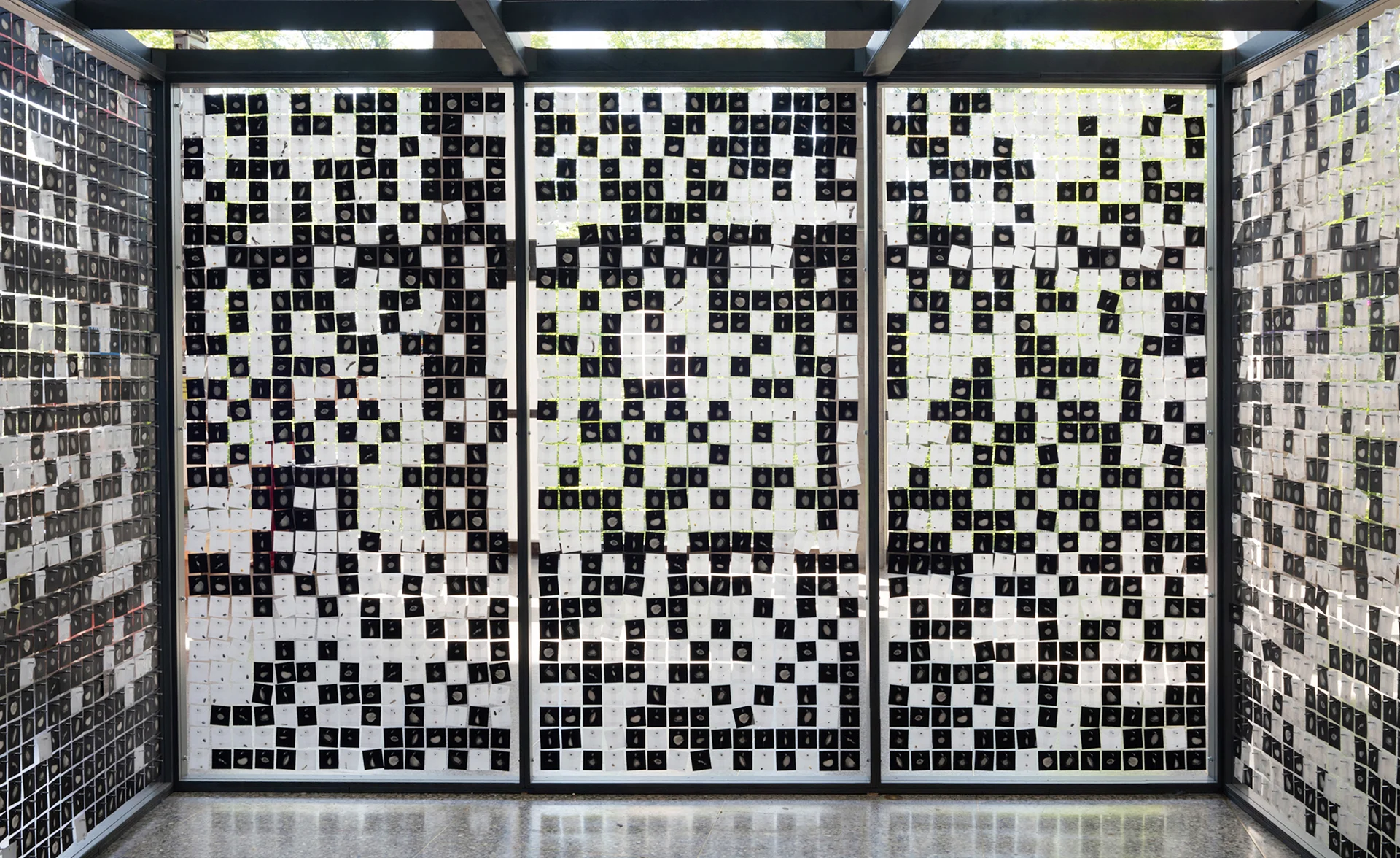 Vault: Exchange interior back wall, June 2019 Interior back wall after public exchange event in June 2019. Community participants were asked to choose a wild or agricultural seed to place in the vault, and were given the photographic print they removed from the vault’s wall during the exchange.
