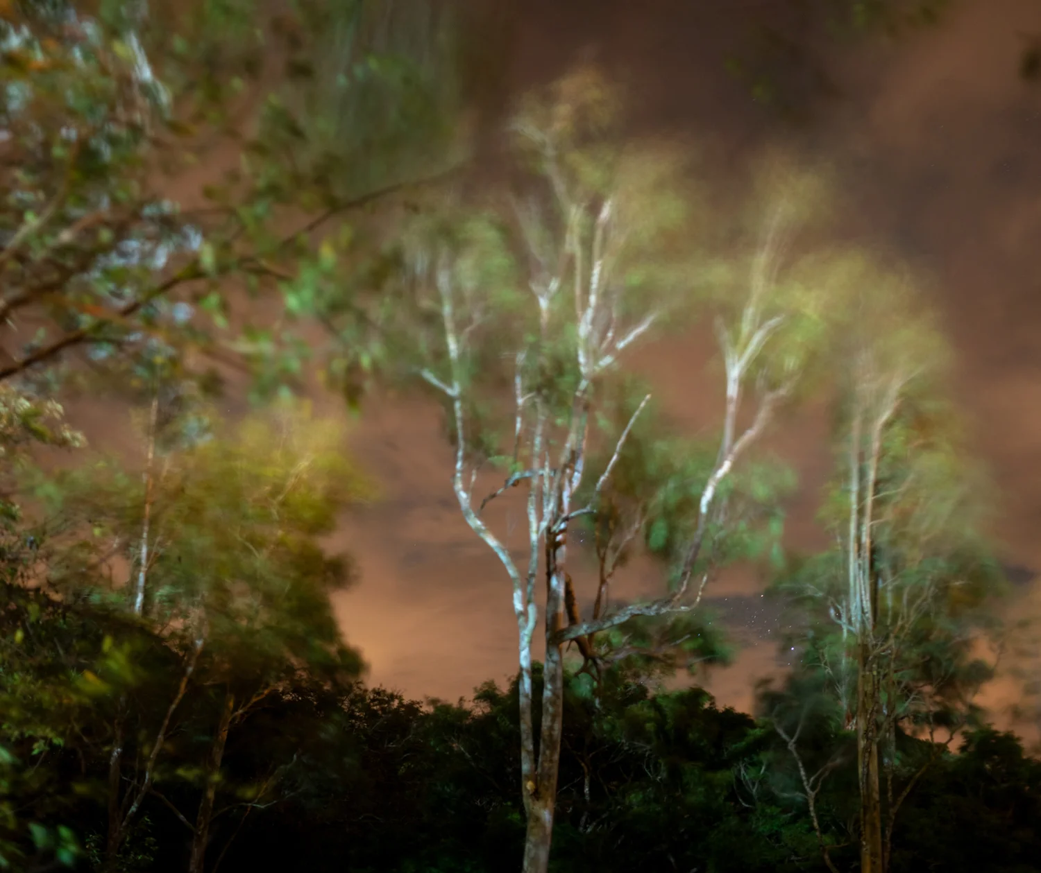 Windstorm, El Valle