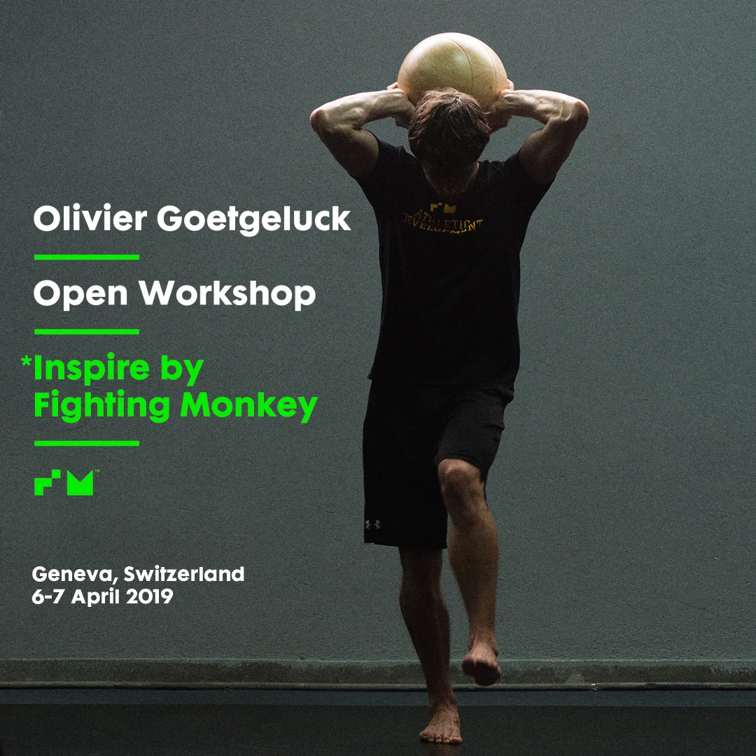 fighting_monkey_olivier_goetgeluck.jpg