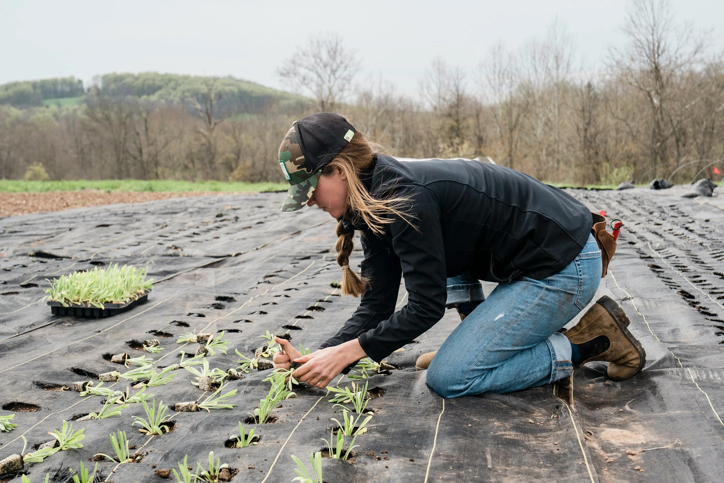 Farm-To-Table: More Than A Movement