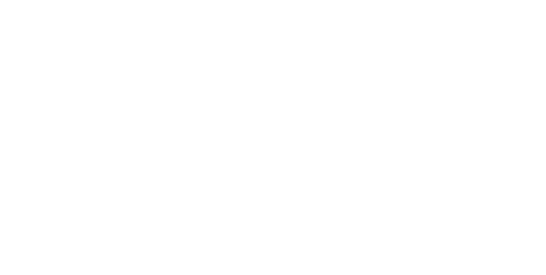 MG_REISE_LOGO-2.png