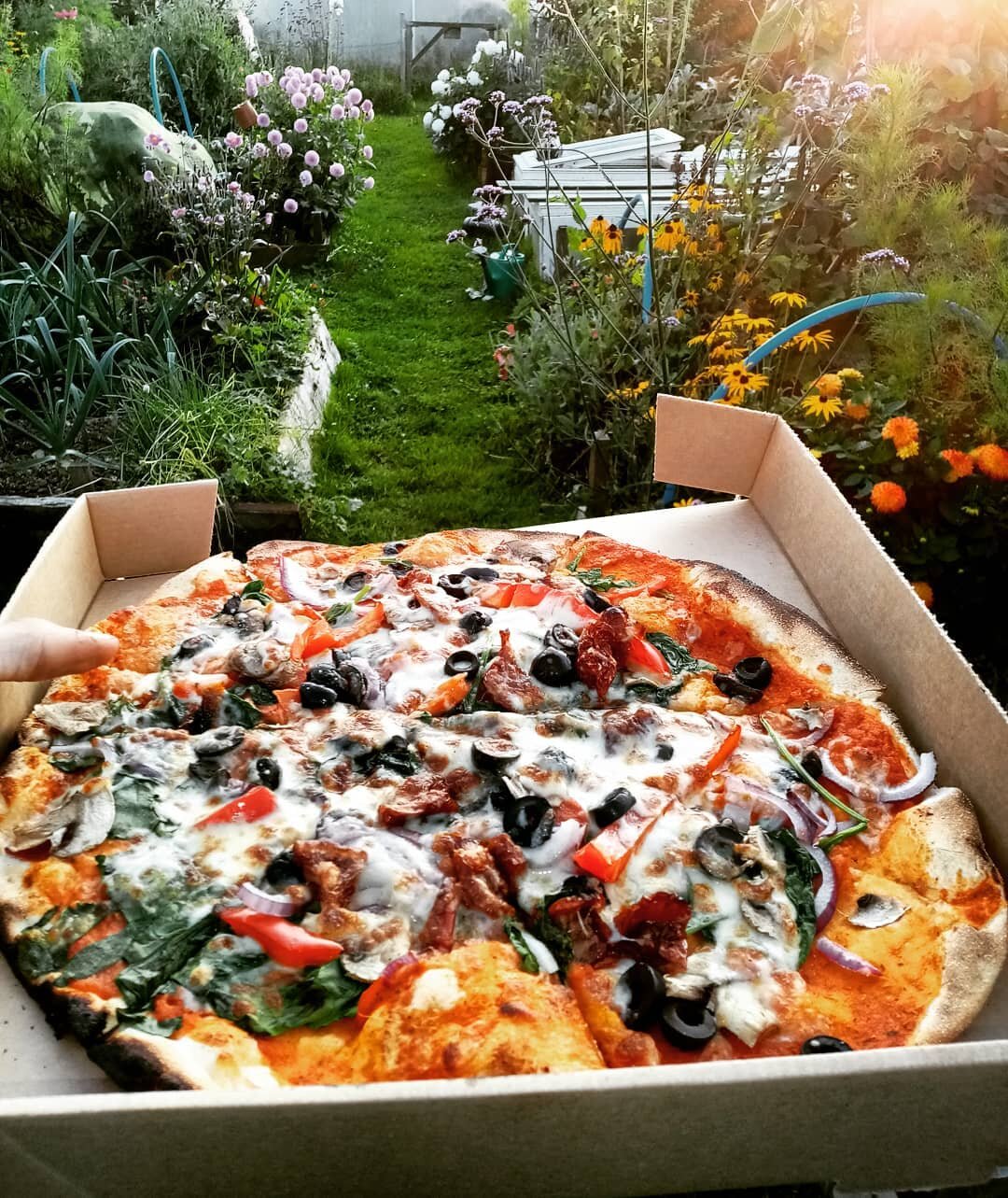 Finished work late so it's a pizza down the #allotment tonight. #gardening #summer #pizza #veg #vegetarian #freshdigsgardening #freshdigs