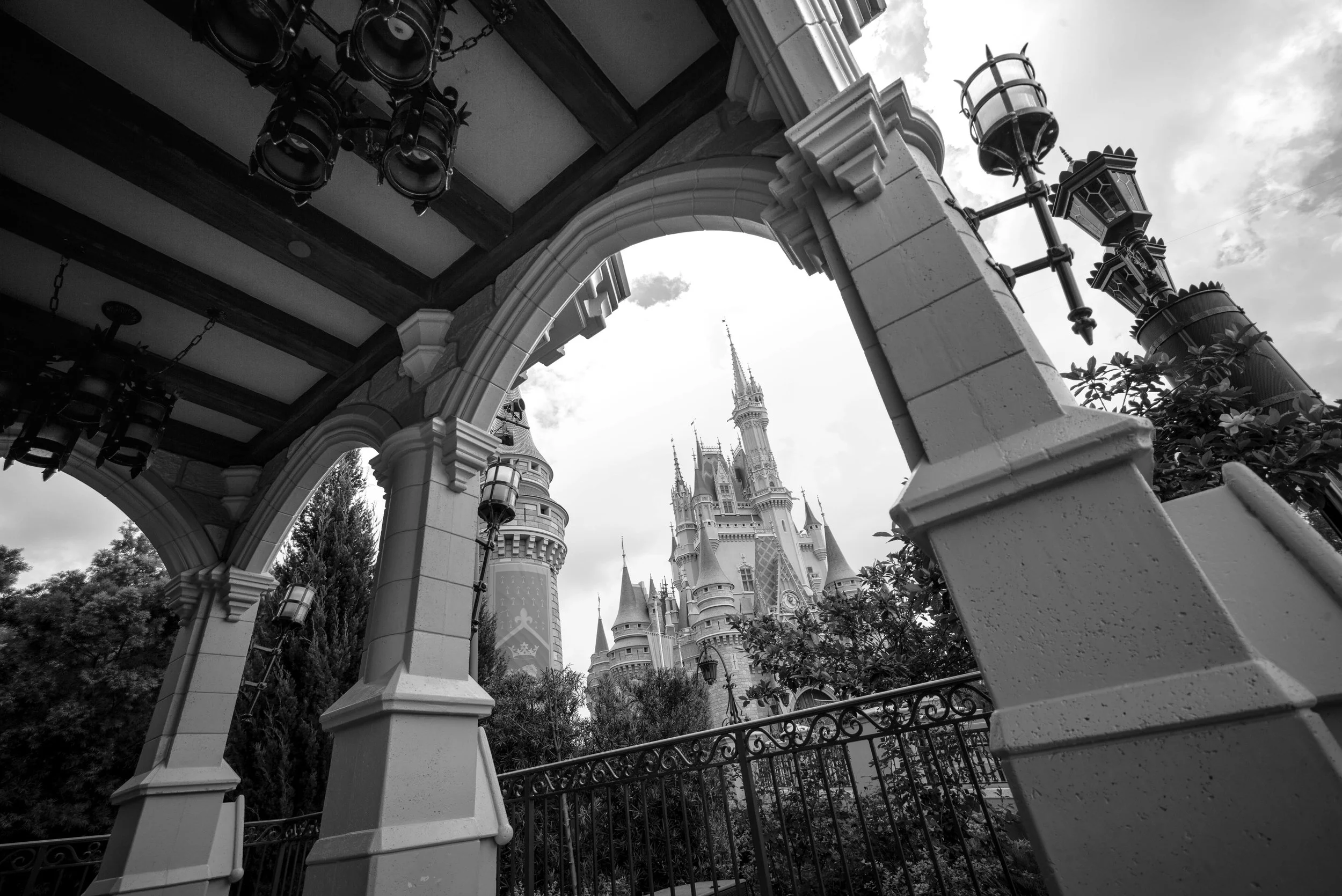 L1002865.jpg