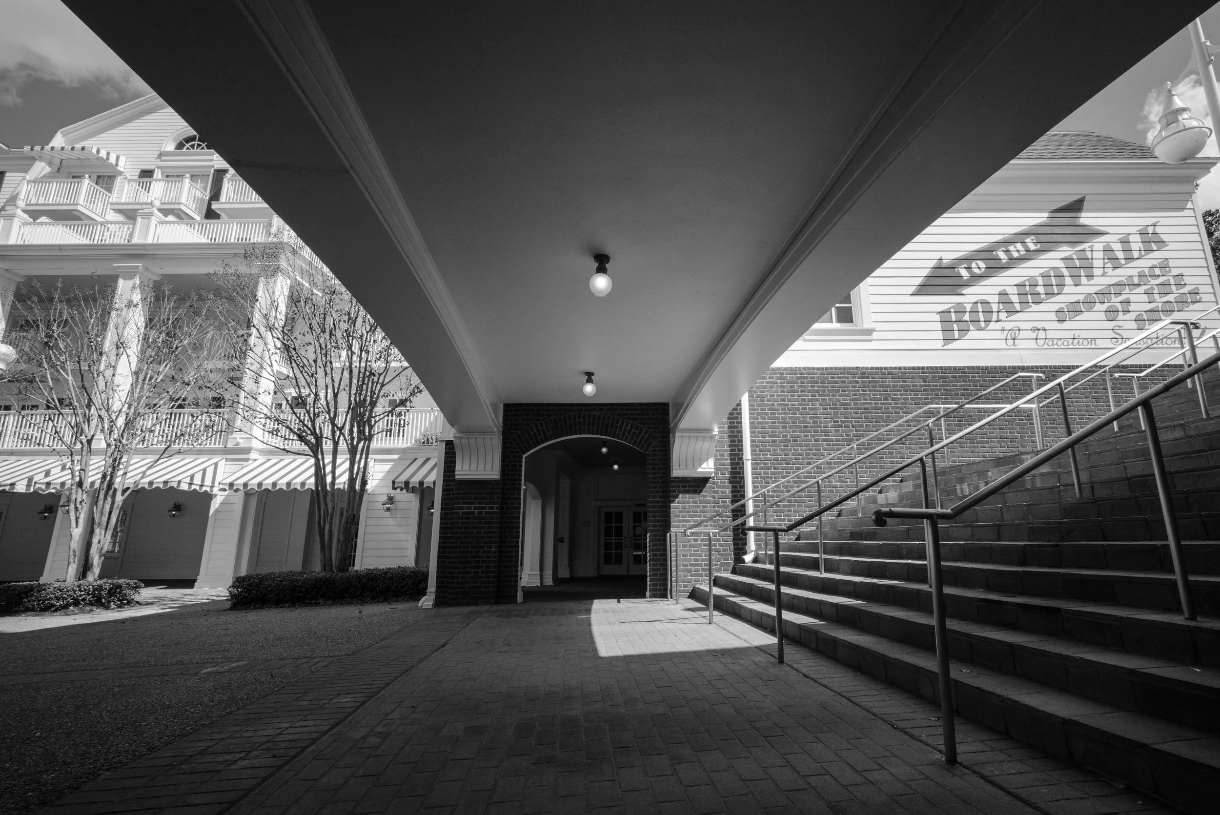 L1006907.jpg