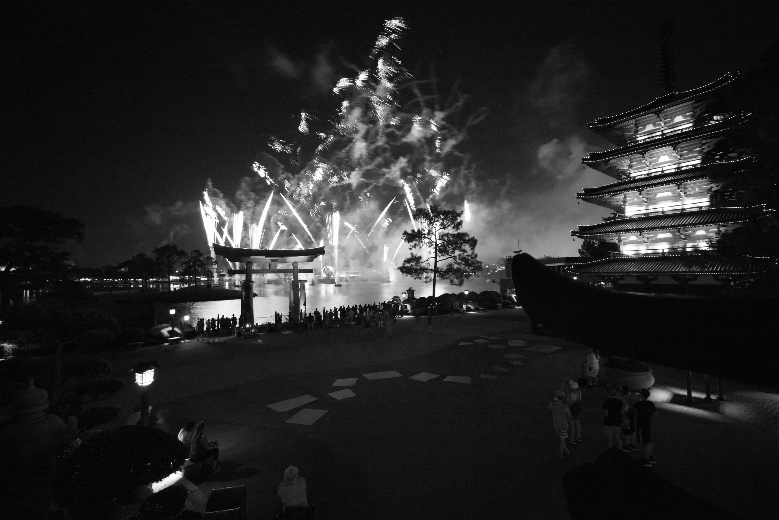 L1006979.jpg