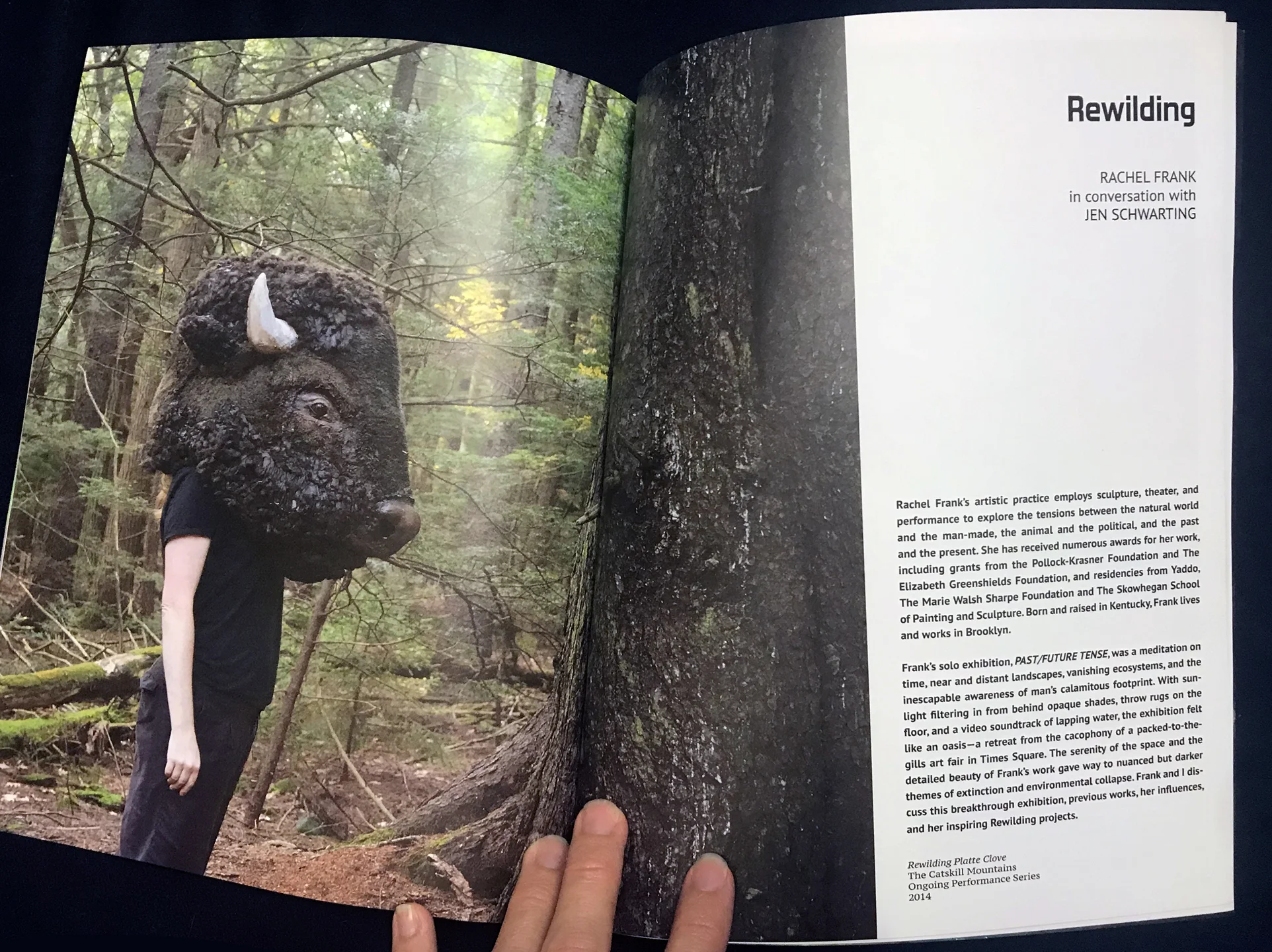 Interview with Rachel Frank