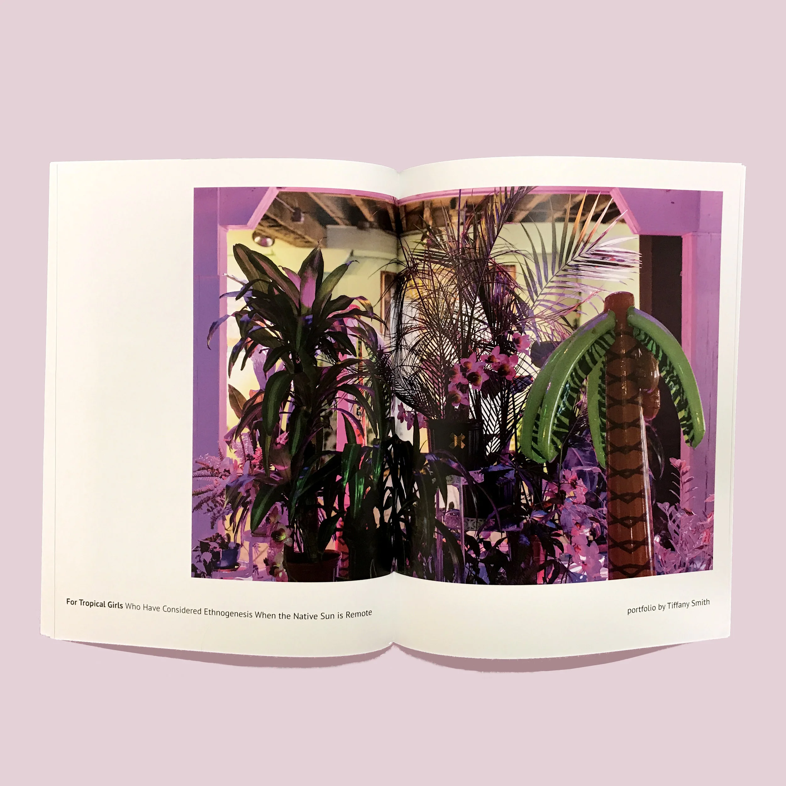 Field Magazine Issue 2