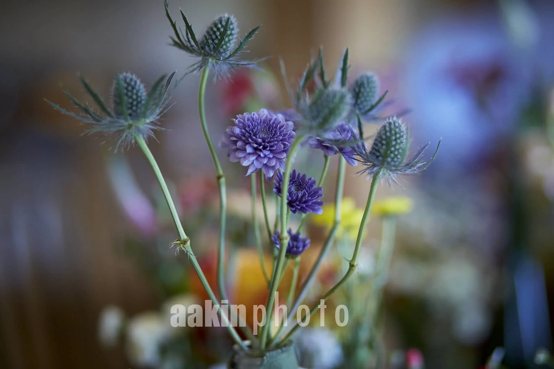 Flowers_007