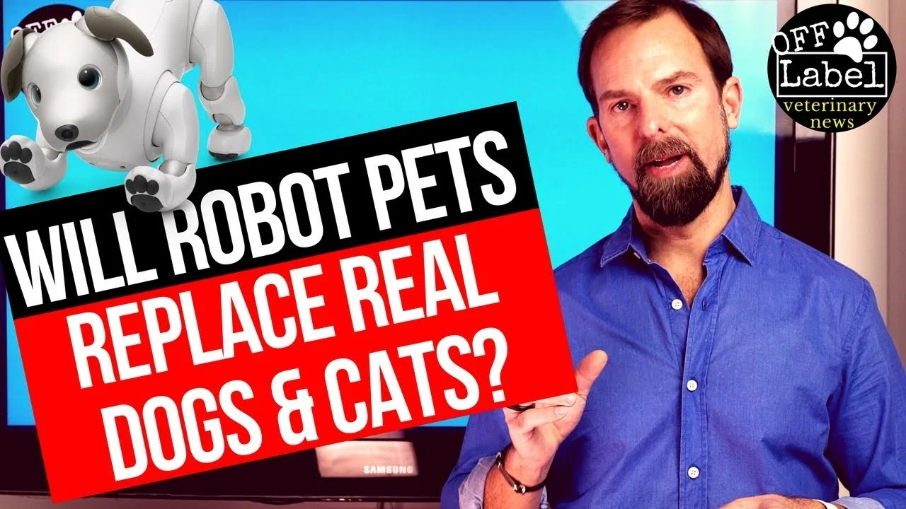 robot pets 2018