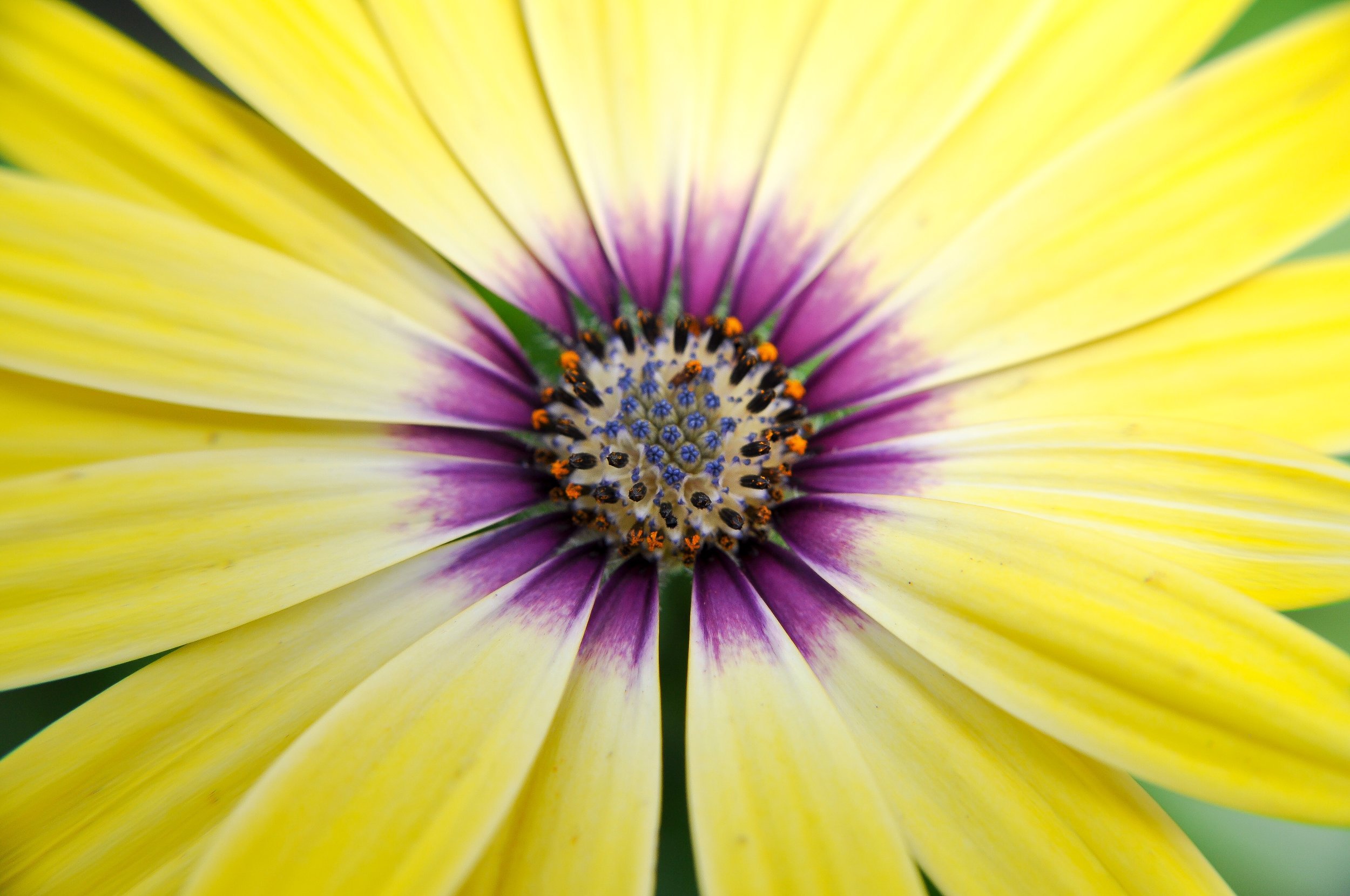 Riverside Greenhouse