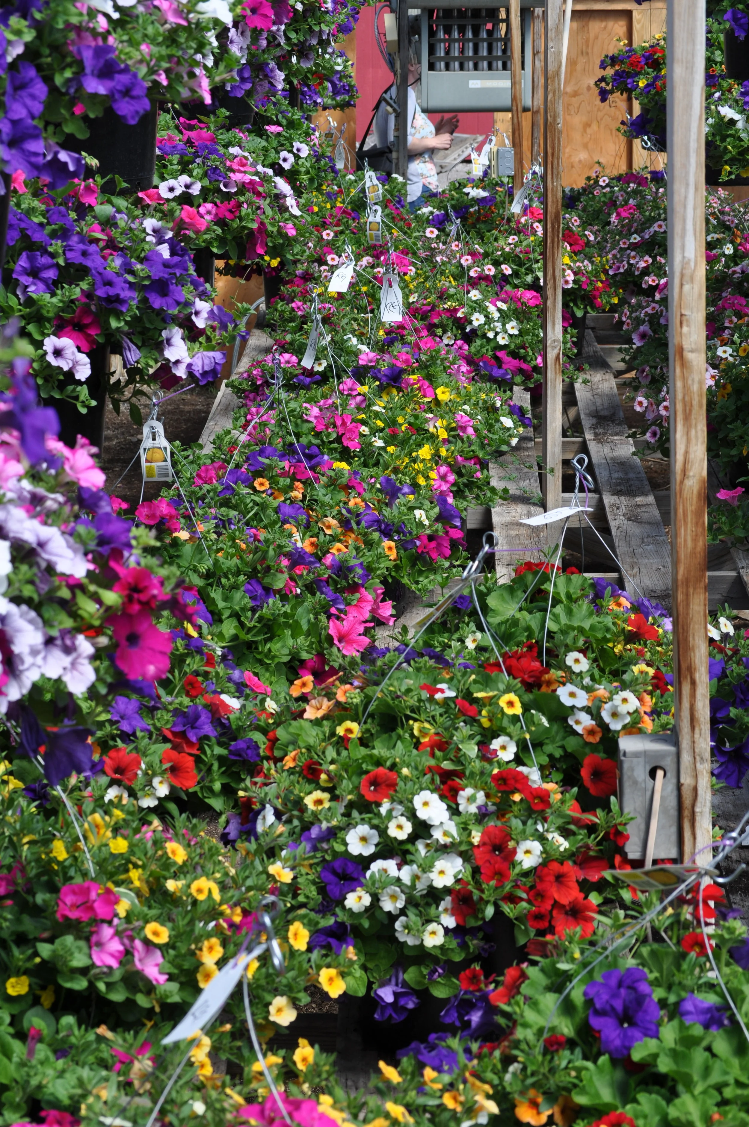 Our Product — Riverside Greenhouse