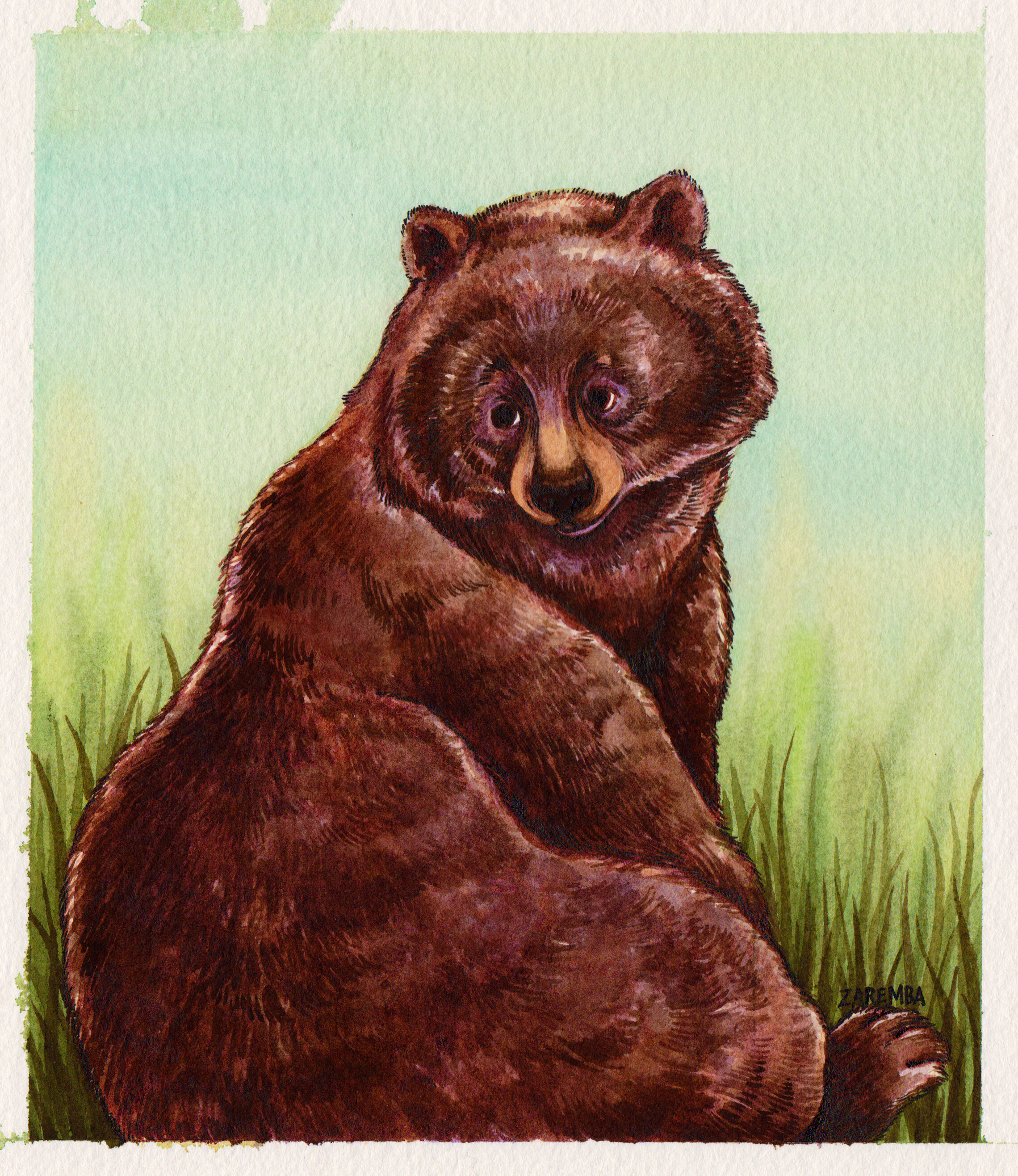 Bear Comission