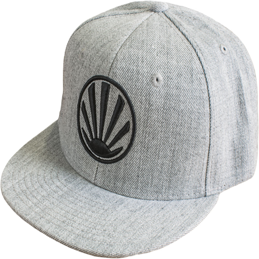 Grey Bill Black Logo
