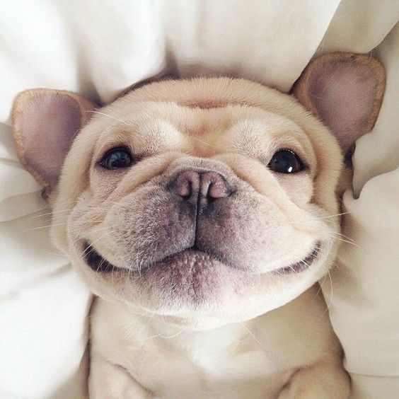 Happy People 