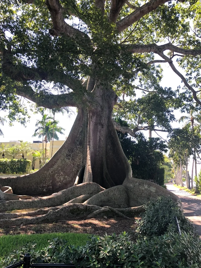 Nature Can Make You Healthy!