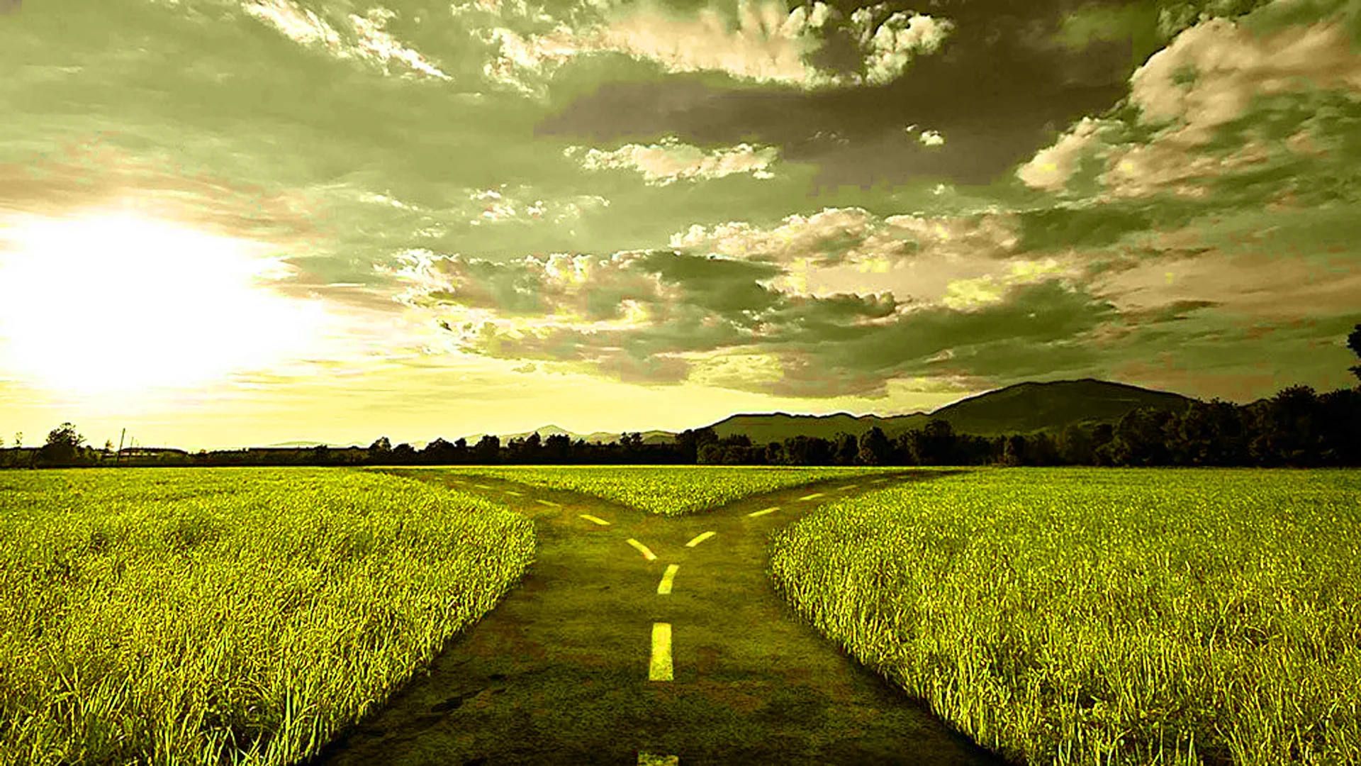 fork_in_the_road2.jpg