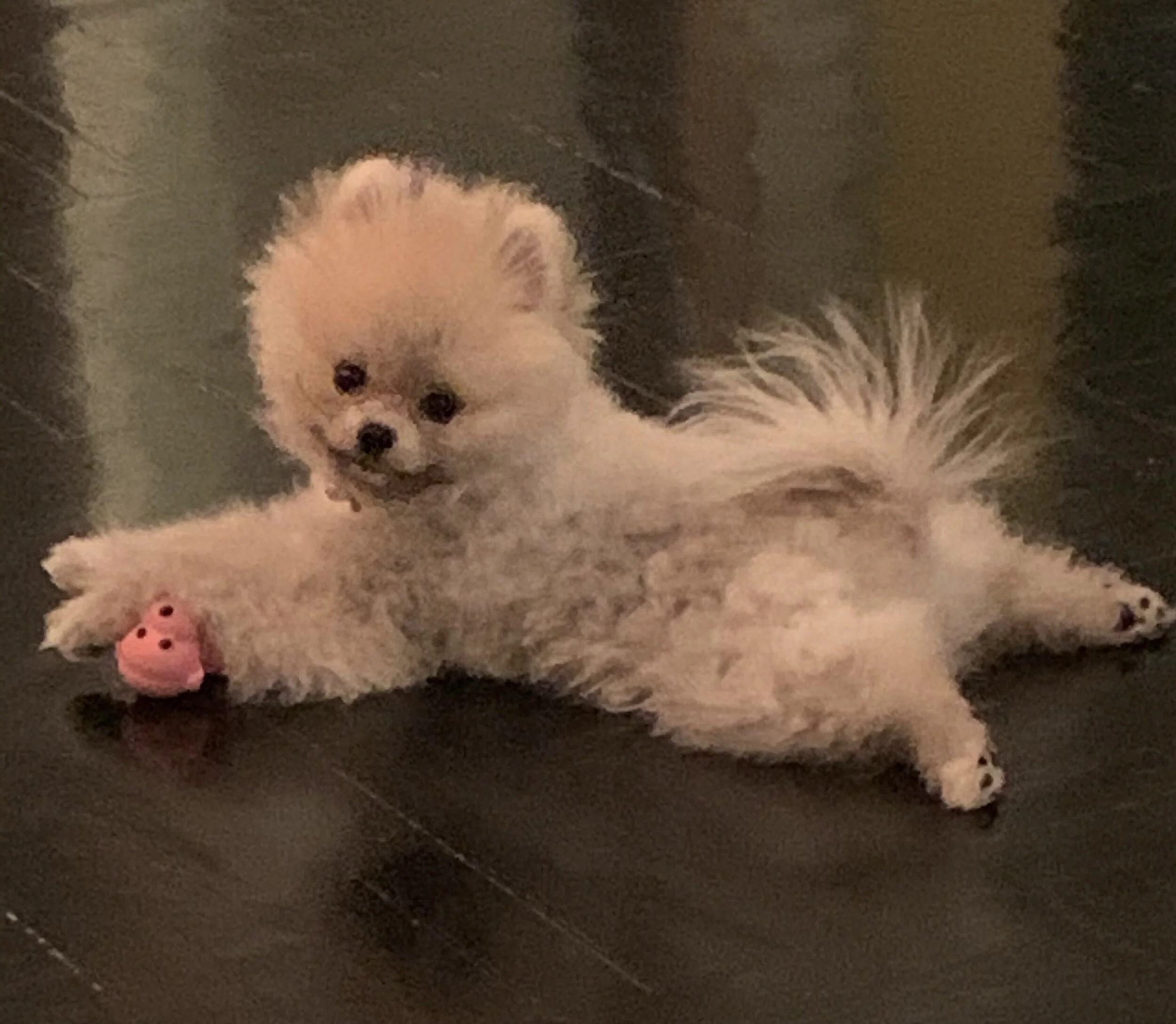 Routine is Essential!