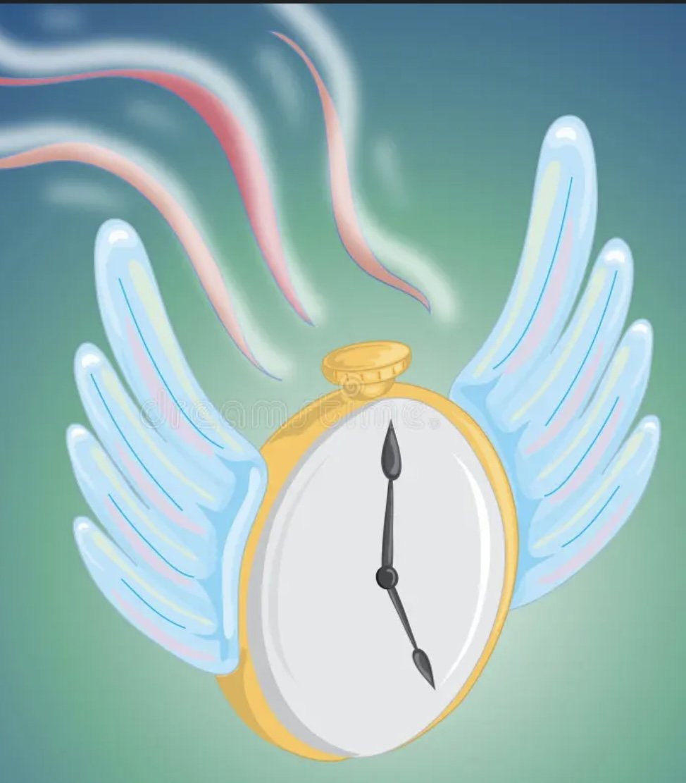 TIMES GOES BY SO QUICKLY