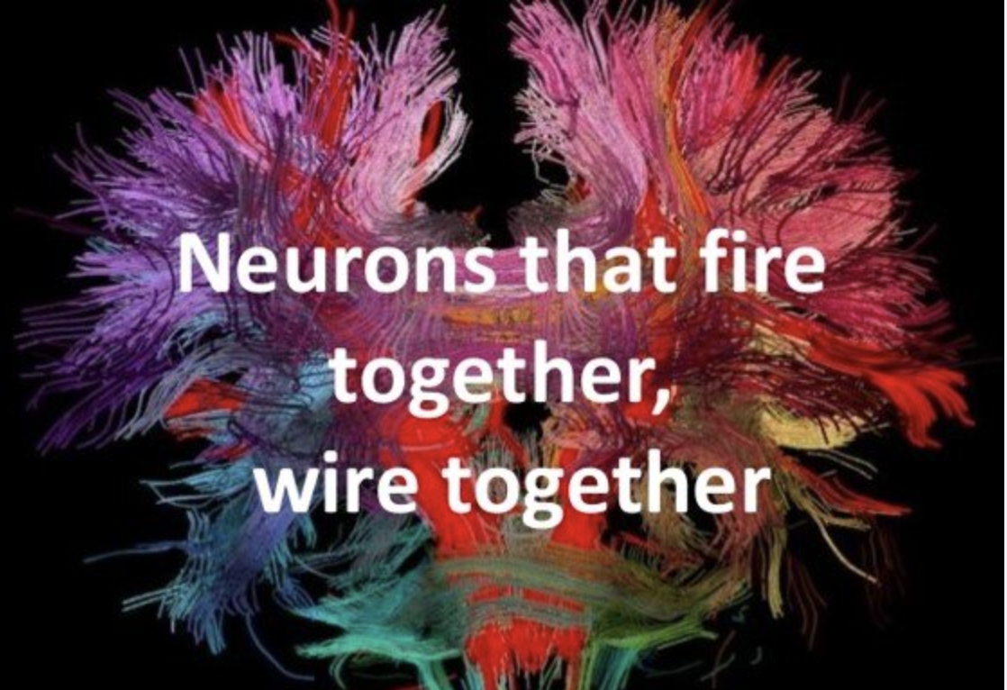 "WE ARE WHAT WE REPEATEDLY DO" ~ ARISTOTLE