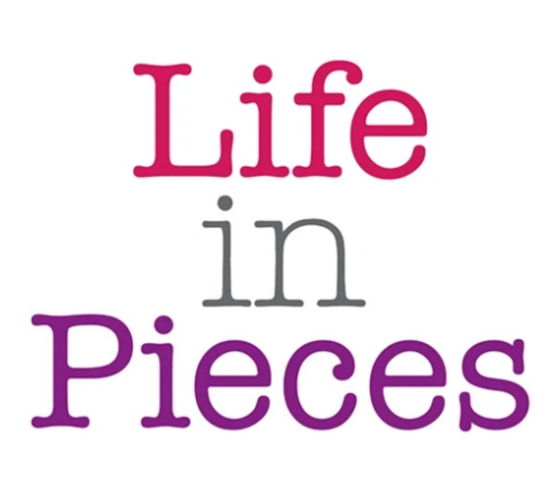 TAKE LIFE IN PIECES