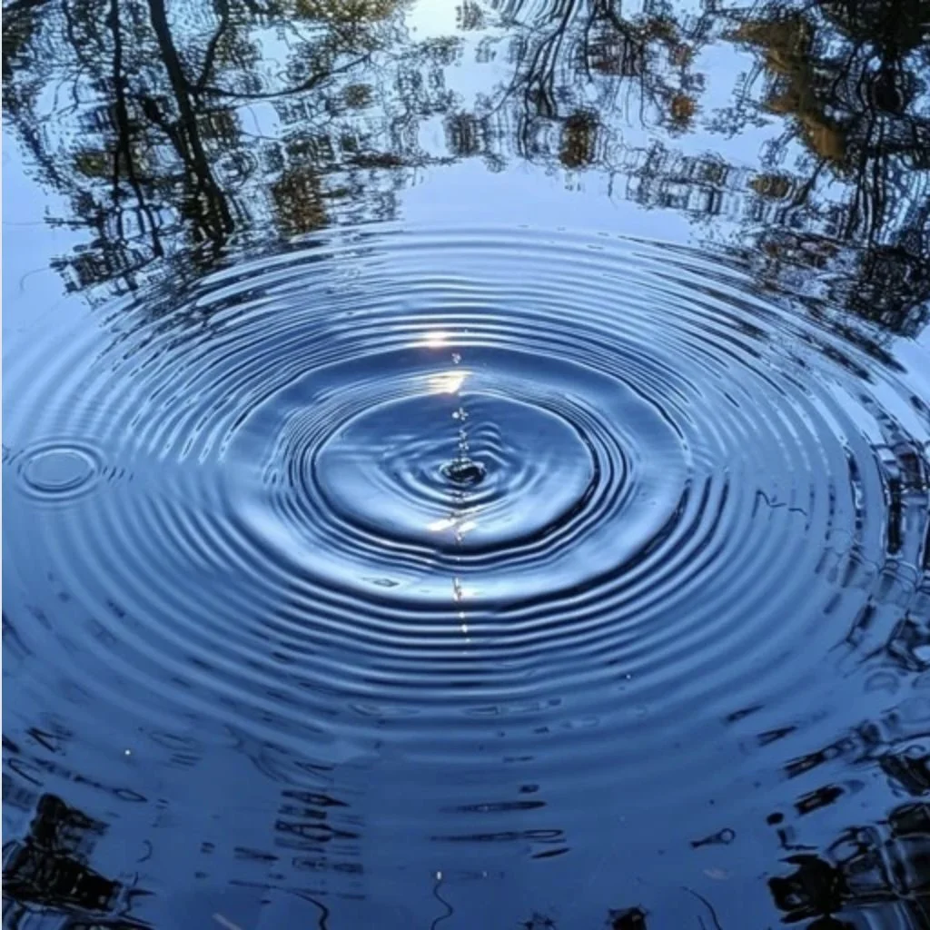 THE RIPPLE EFFECT