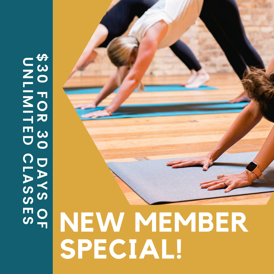 new member special for website (1).png