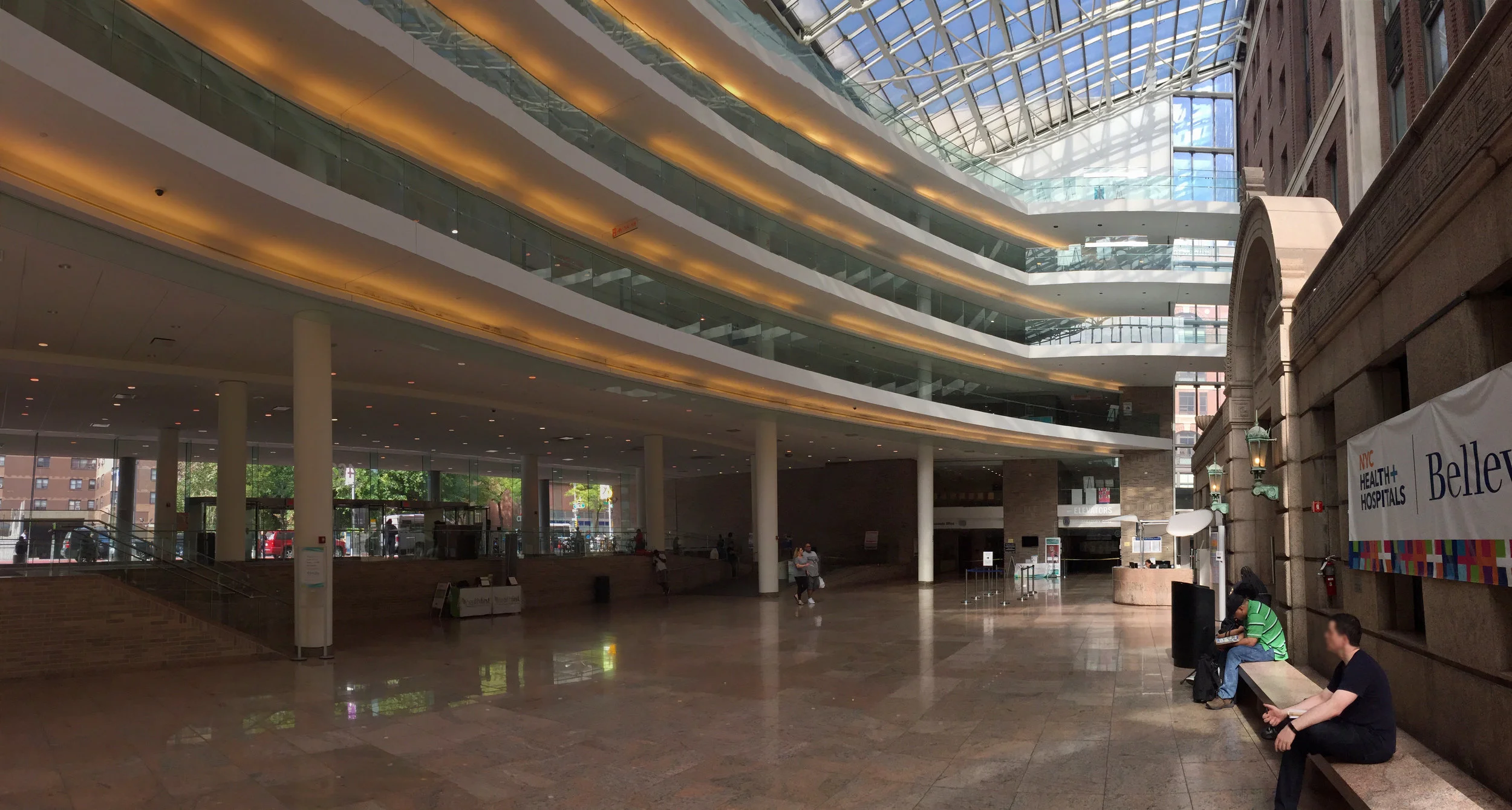 Wild drove herself in a fog of disbelief to Bellevue where the ambulance had rushed her client. She called ahead to Soledad Esteves Torres, and her team’s social worker was waiting for her in the center of the huge glass atrium that formed the modern entrance where IM Pei had encased the old hospital in a St. Elsewhere snow globe of grief and miracles.